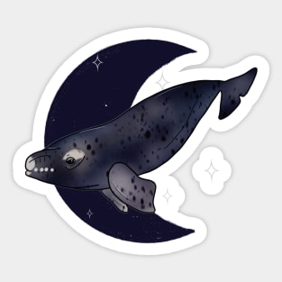 Right Whale Crescent - Navy Sticker